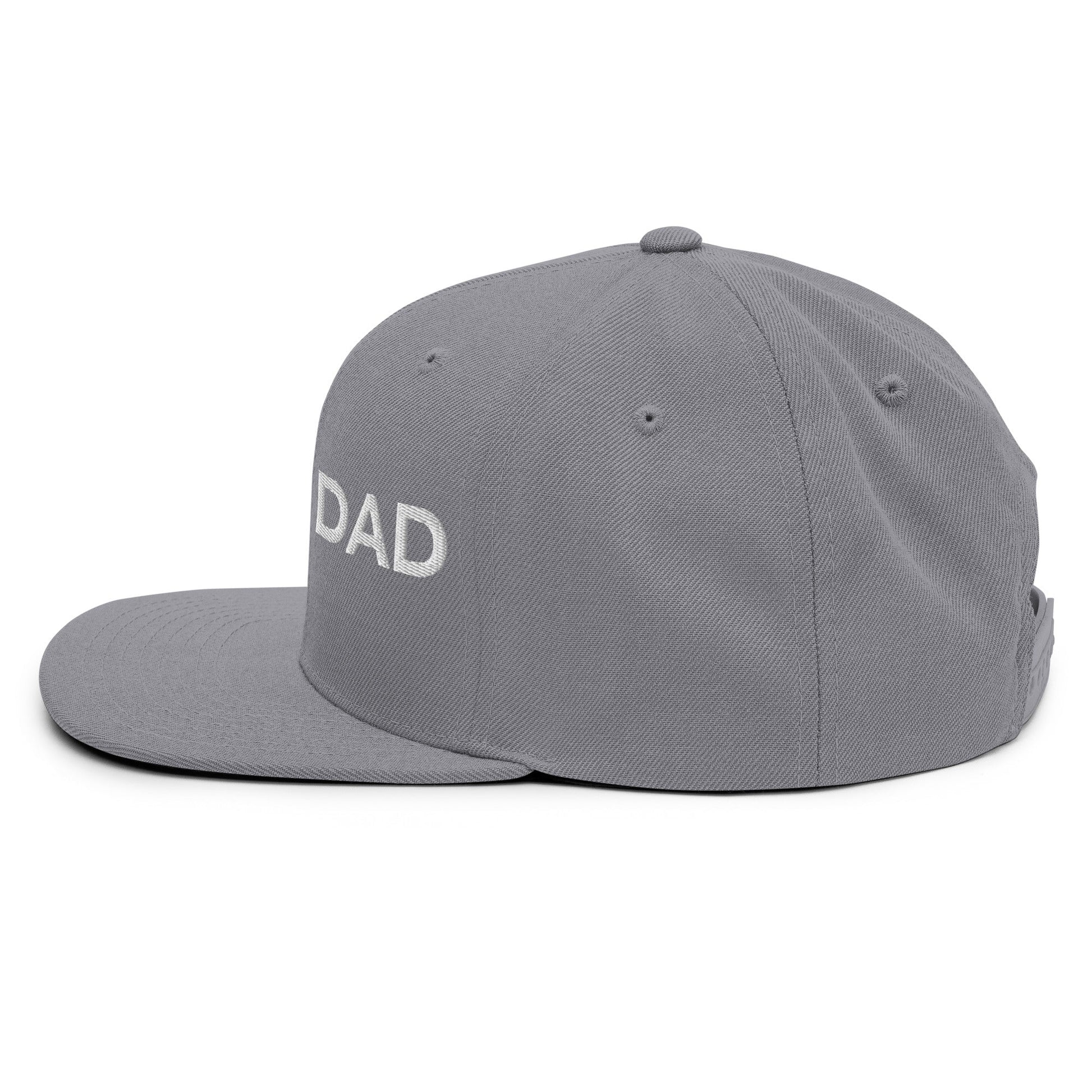DAD Snapback - Soberlands