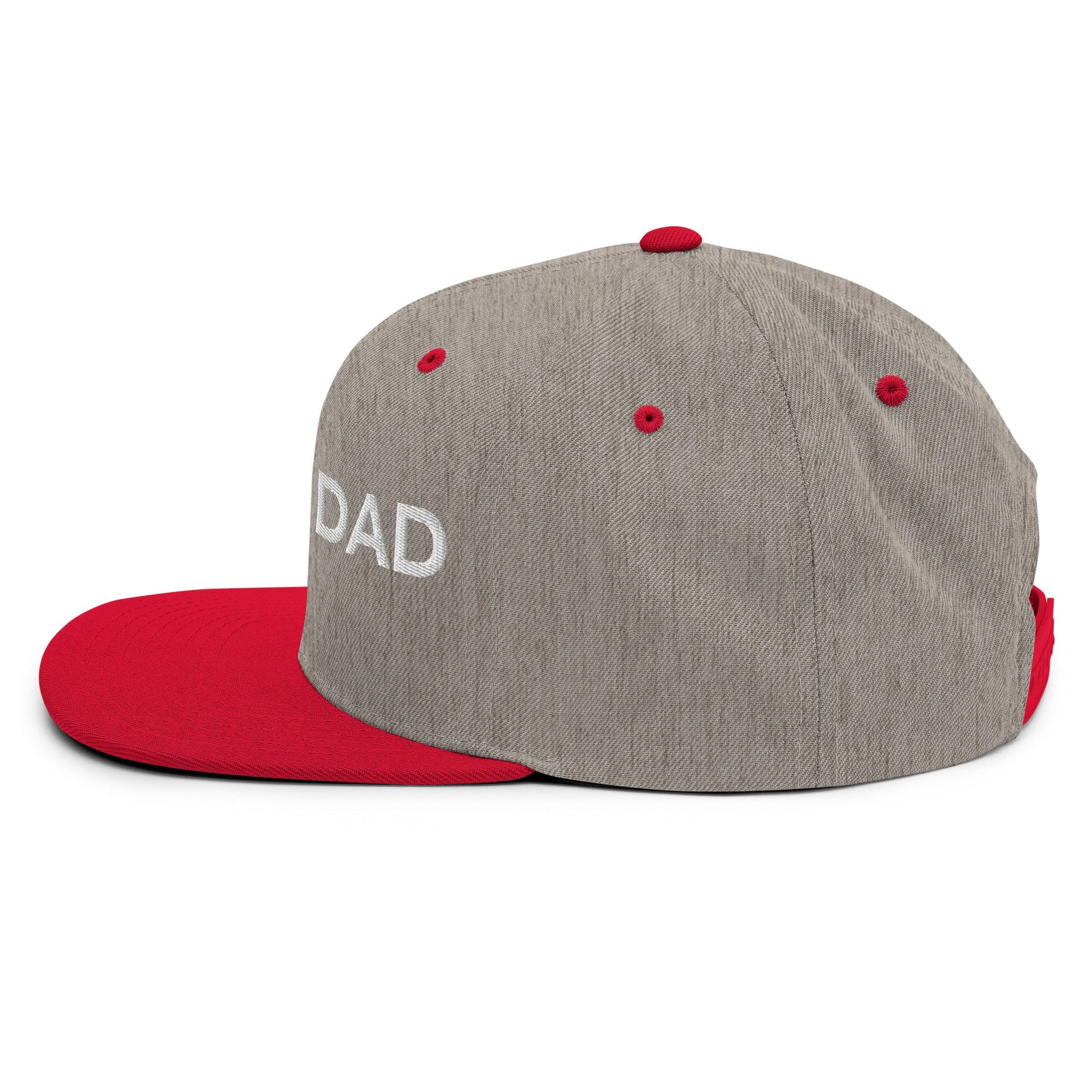 DAD Snapback - Soberlands