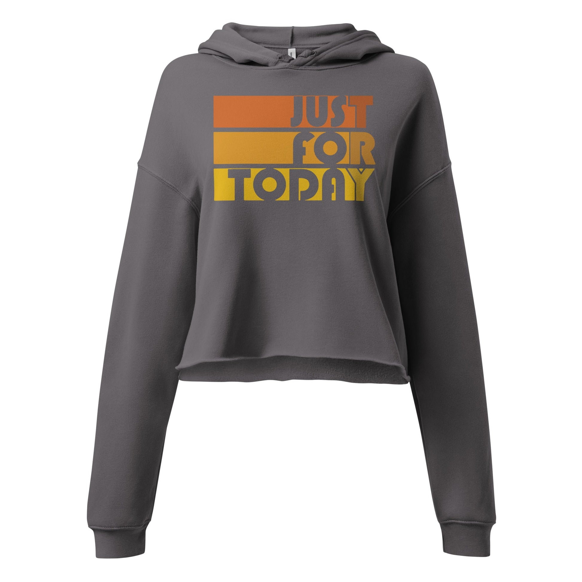 Just For Today Crop Hoodie - Soberlands