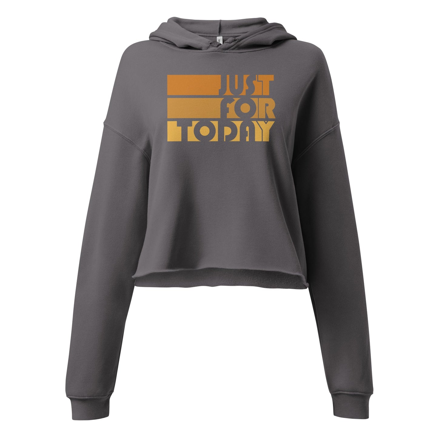 Just For Today Crop Hoodie - Soberlands