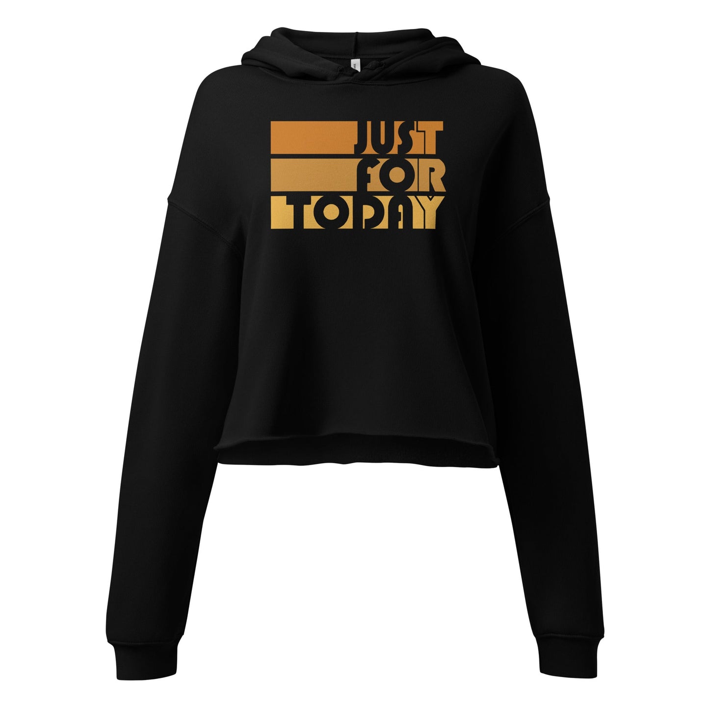 Just For Today Crop Hoodie - Soberlands
