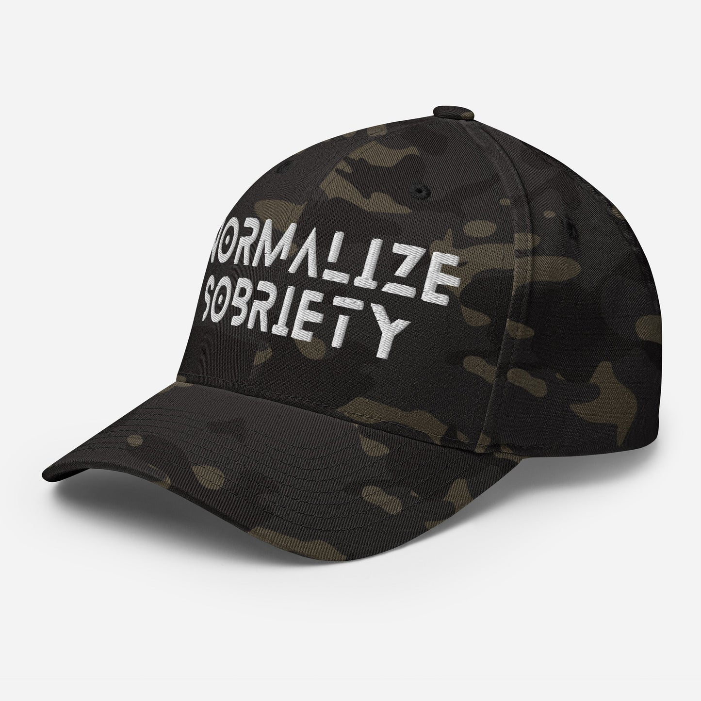 Normalize Sobriety Fitted Cap - Soberlands