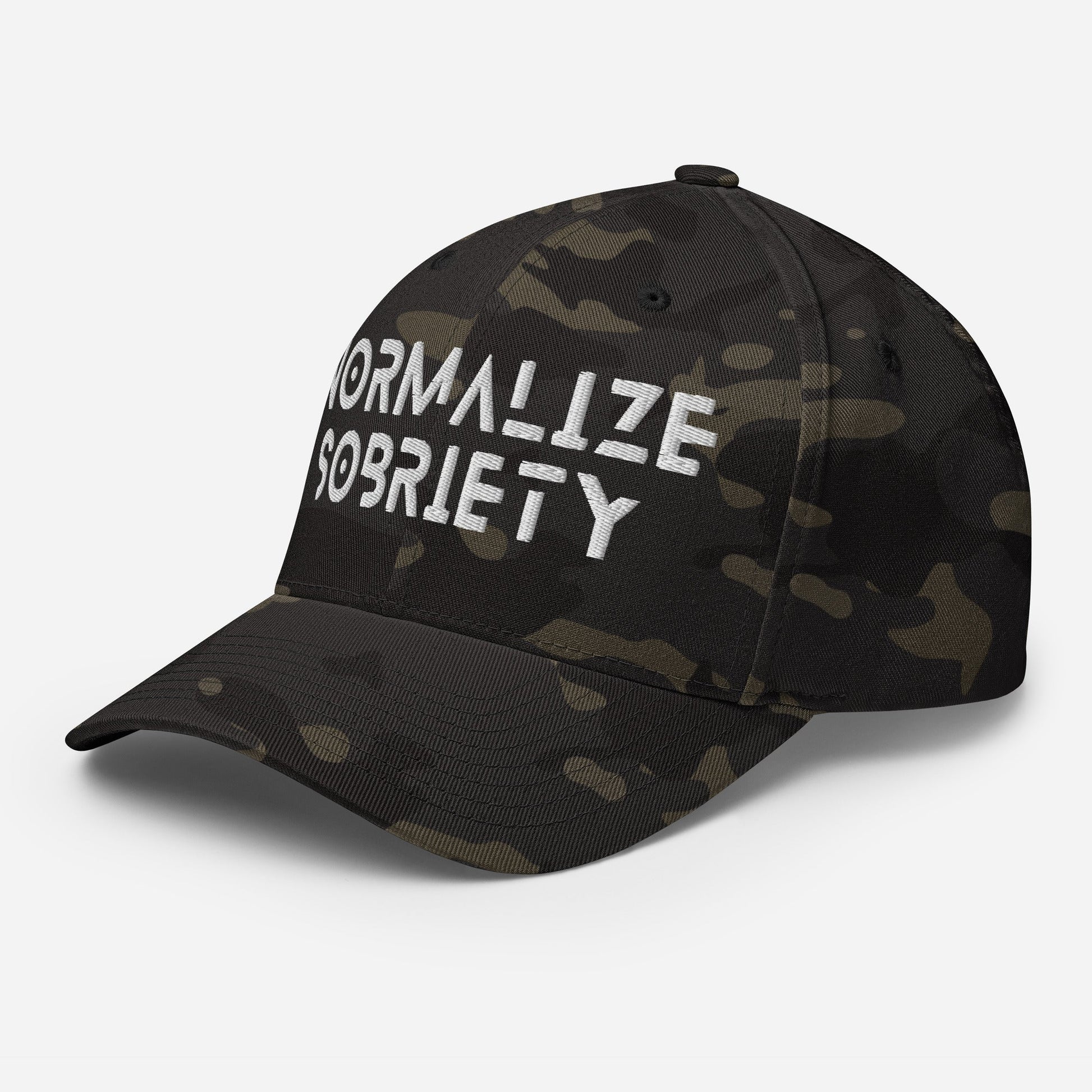 Normalize Sobriety Fitted Cap - Soberlands