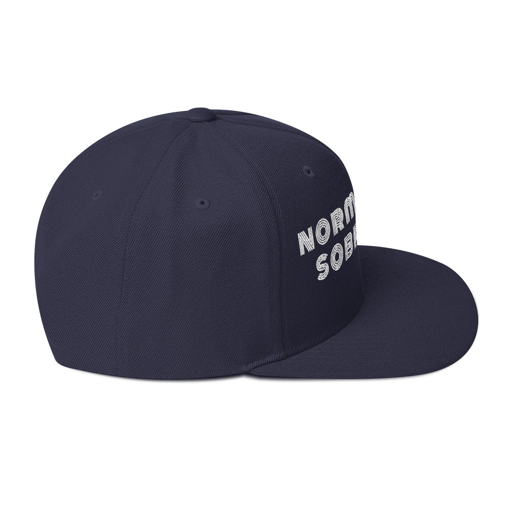 Normalize Sobriety (Stripe) Snapback - Soberlands
