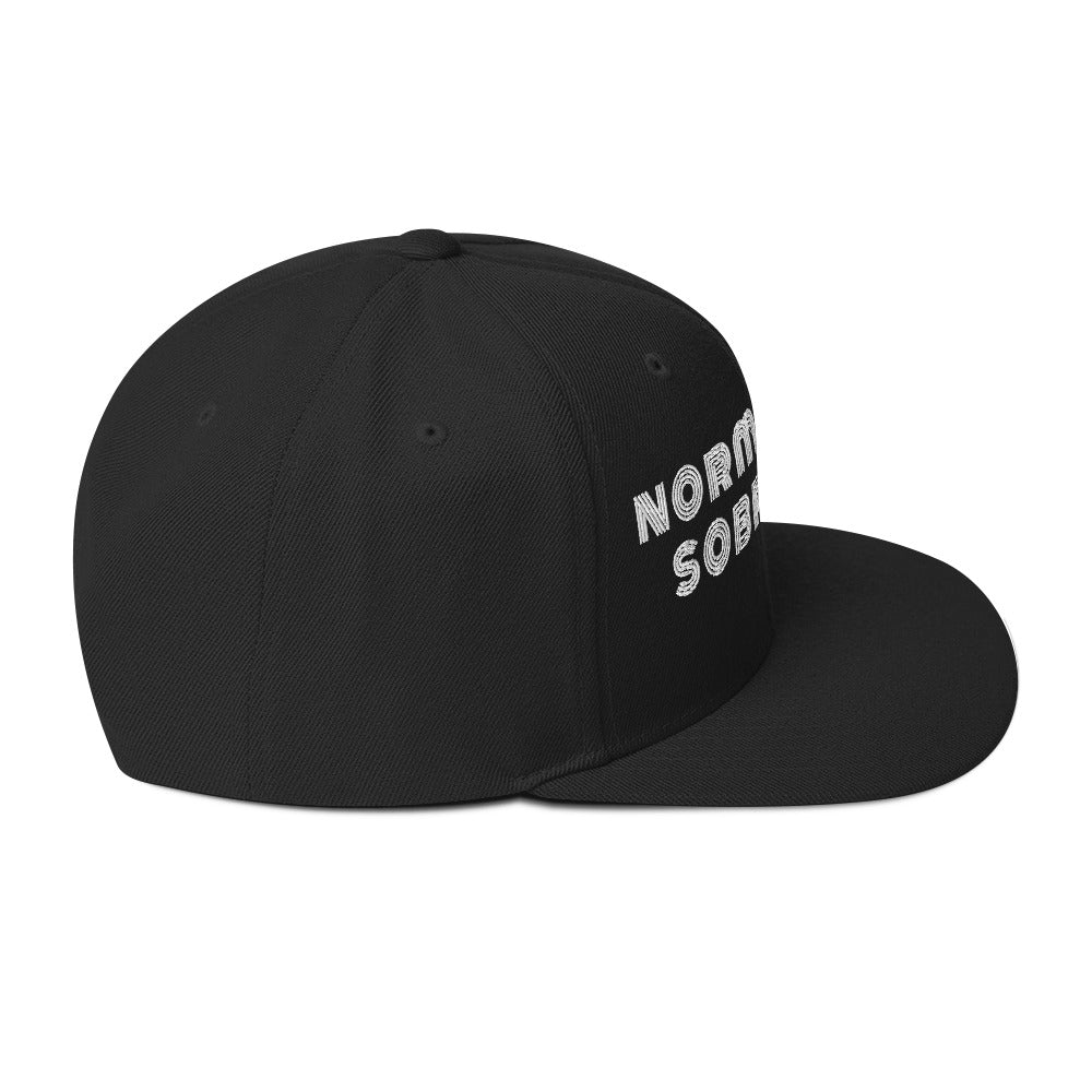 Normalize Sobriety (Stripe) Snapback - Soberlands