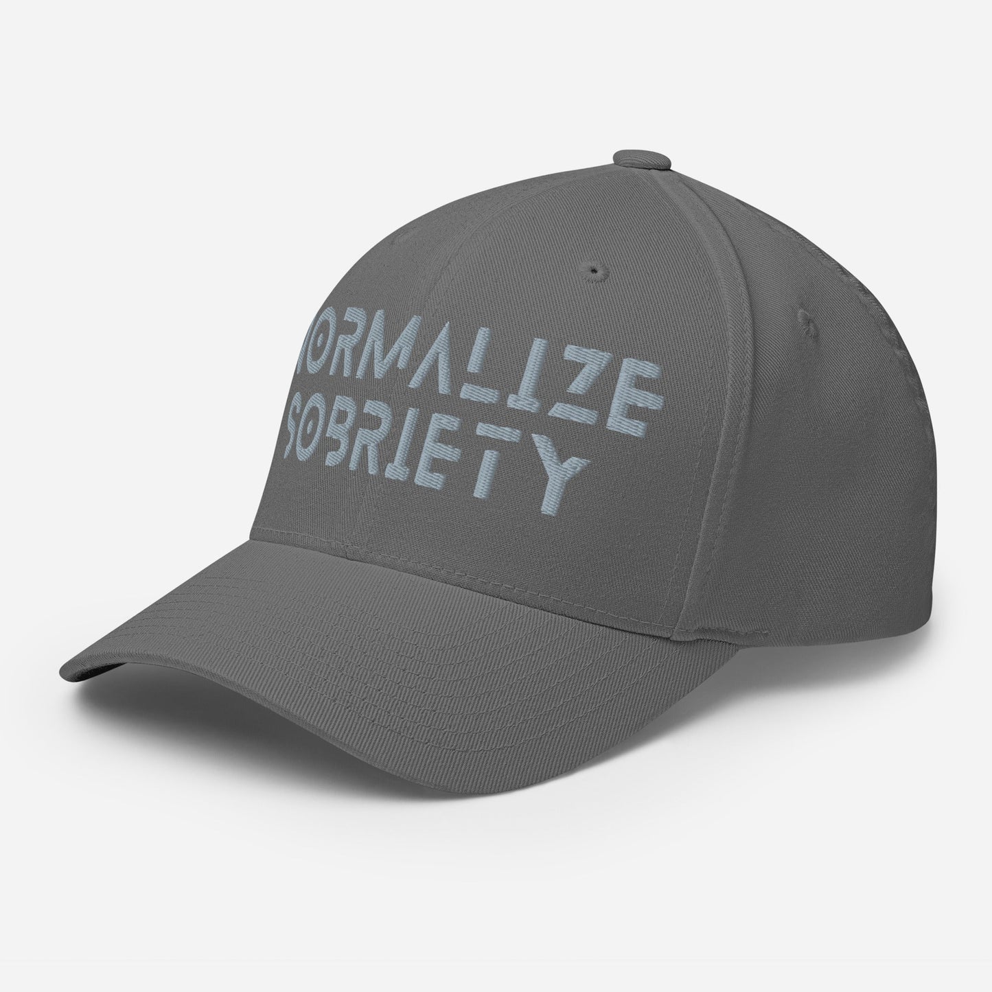 NS Grey Fitted Cap - Soberlands