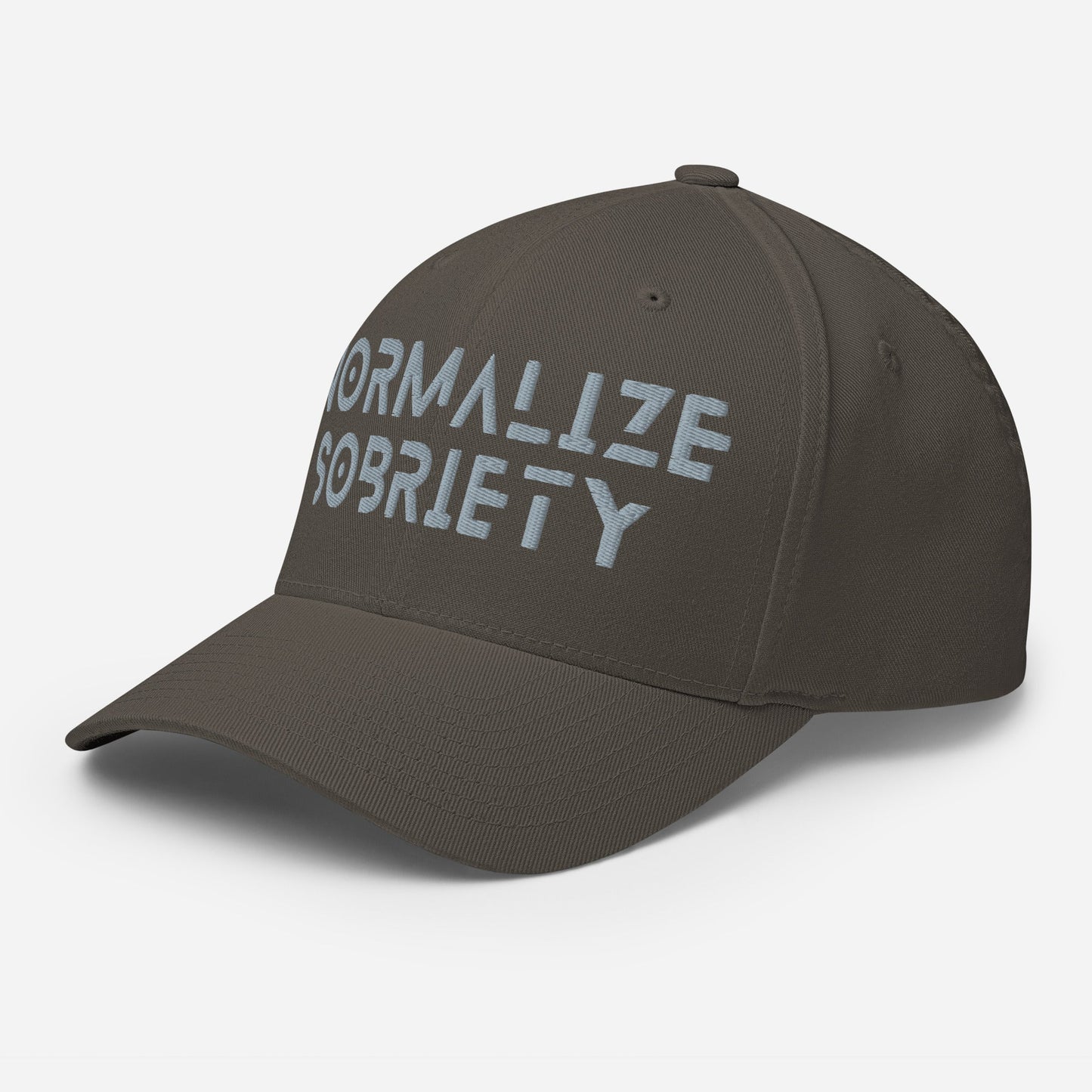 NS Grey Fitted Cap - Soberlands