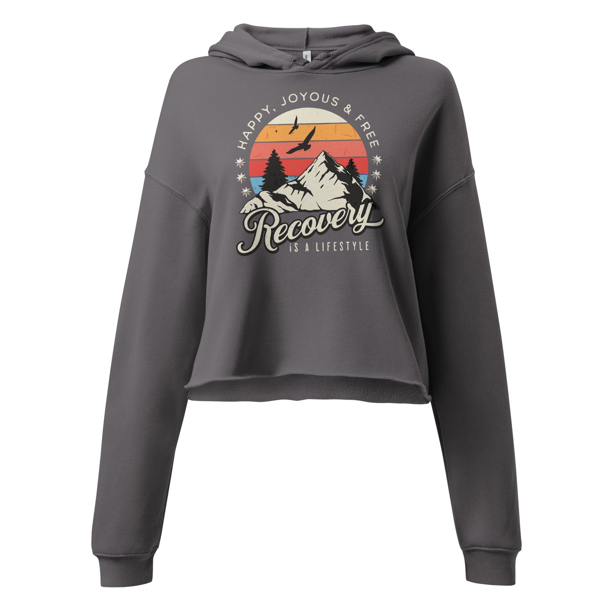 Recovery Crop Hoodie - Soberlands