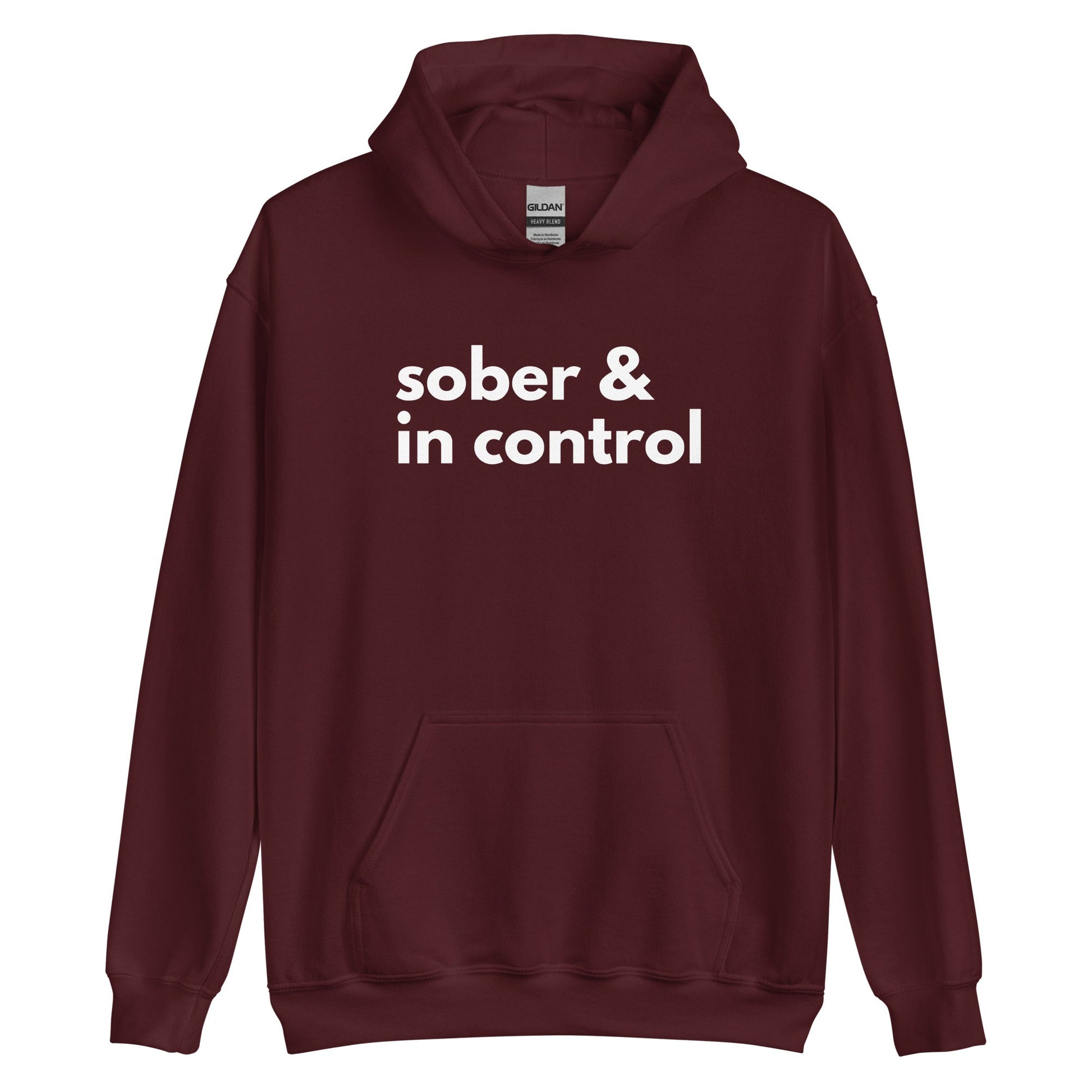 Sober & In Control Hoodie - Soberlands