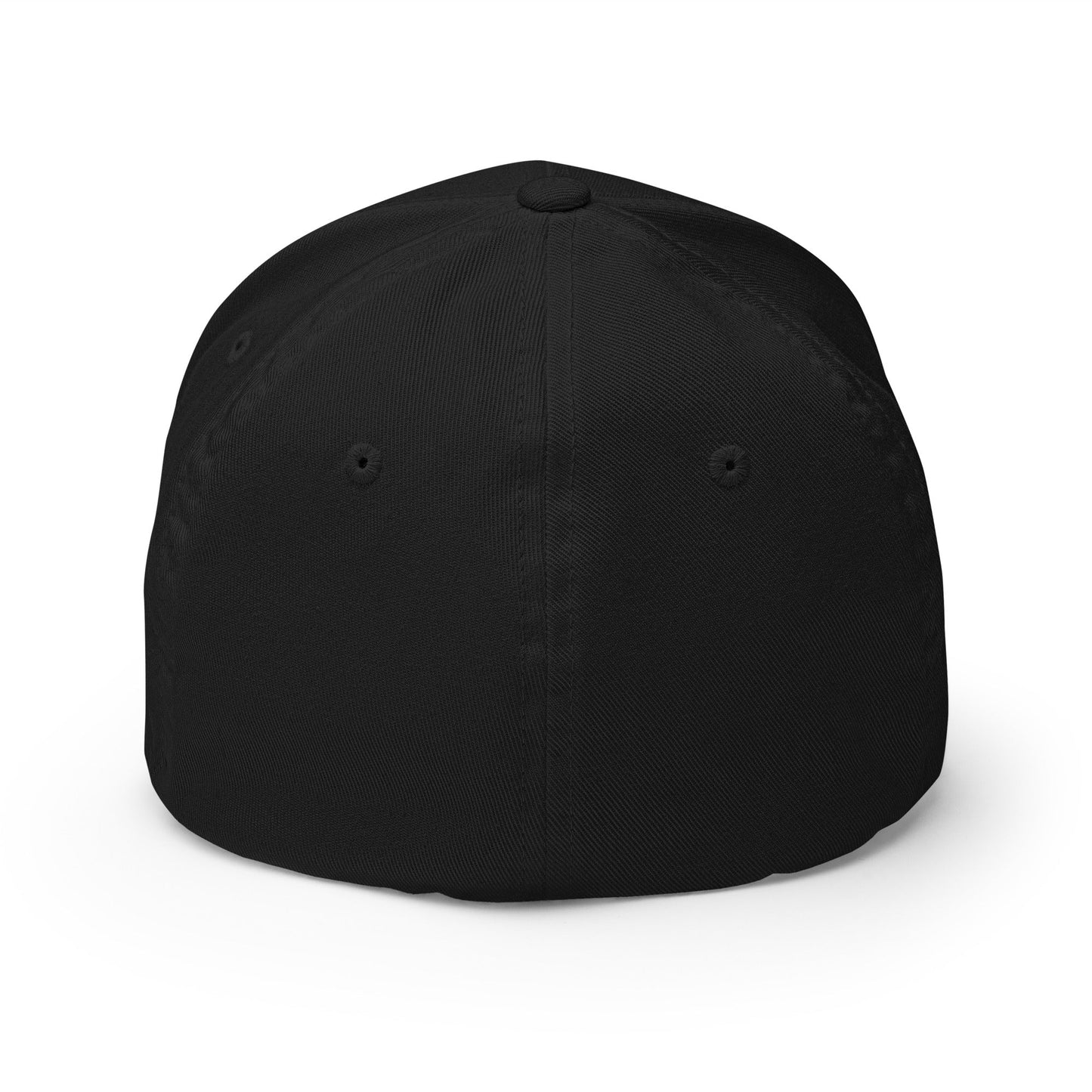 Sobersaurus REX Fitted Cap - Soberlands