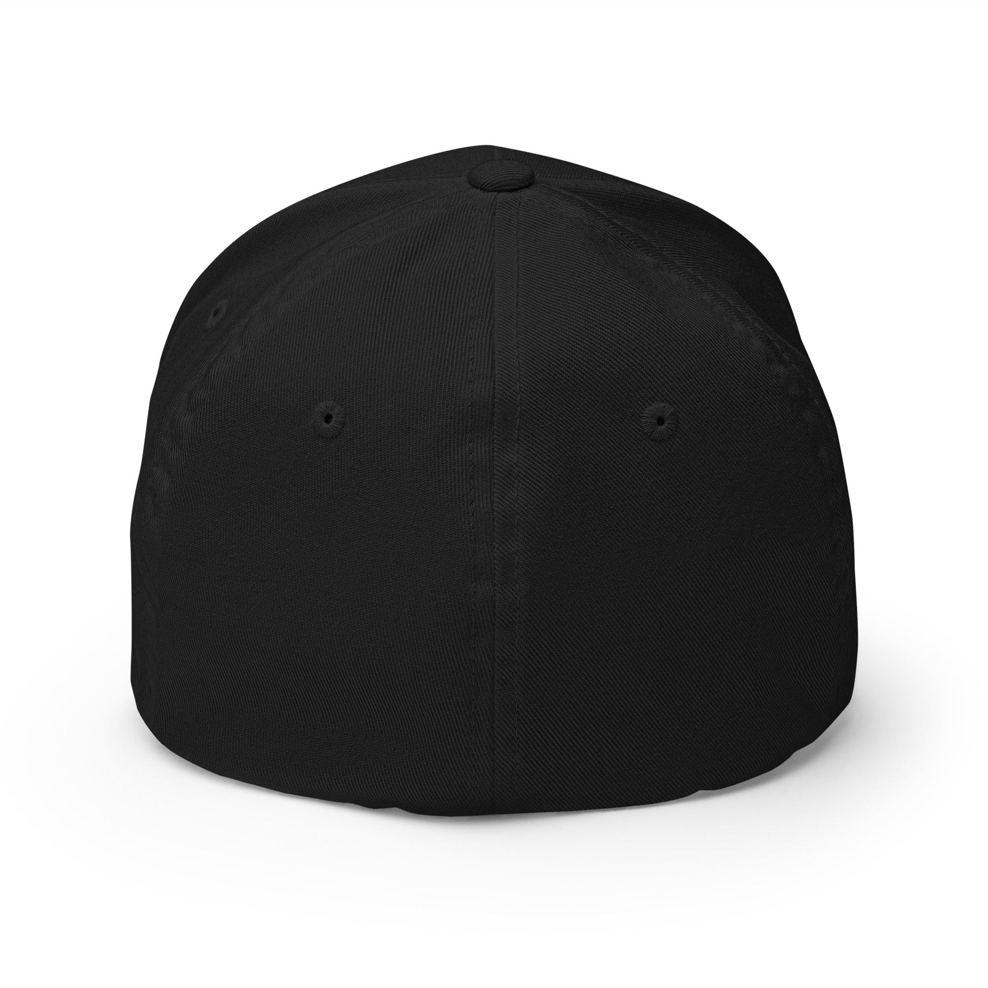 Sobersaurus REX Fitted Cap - Soberlands