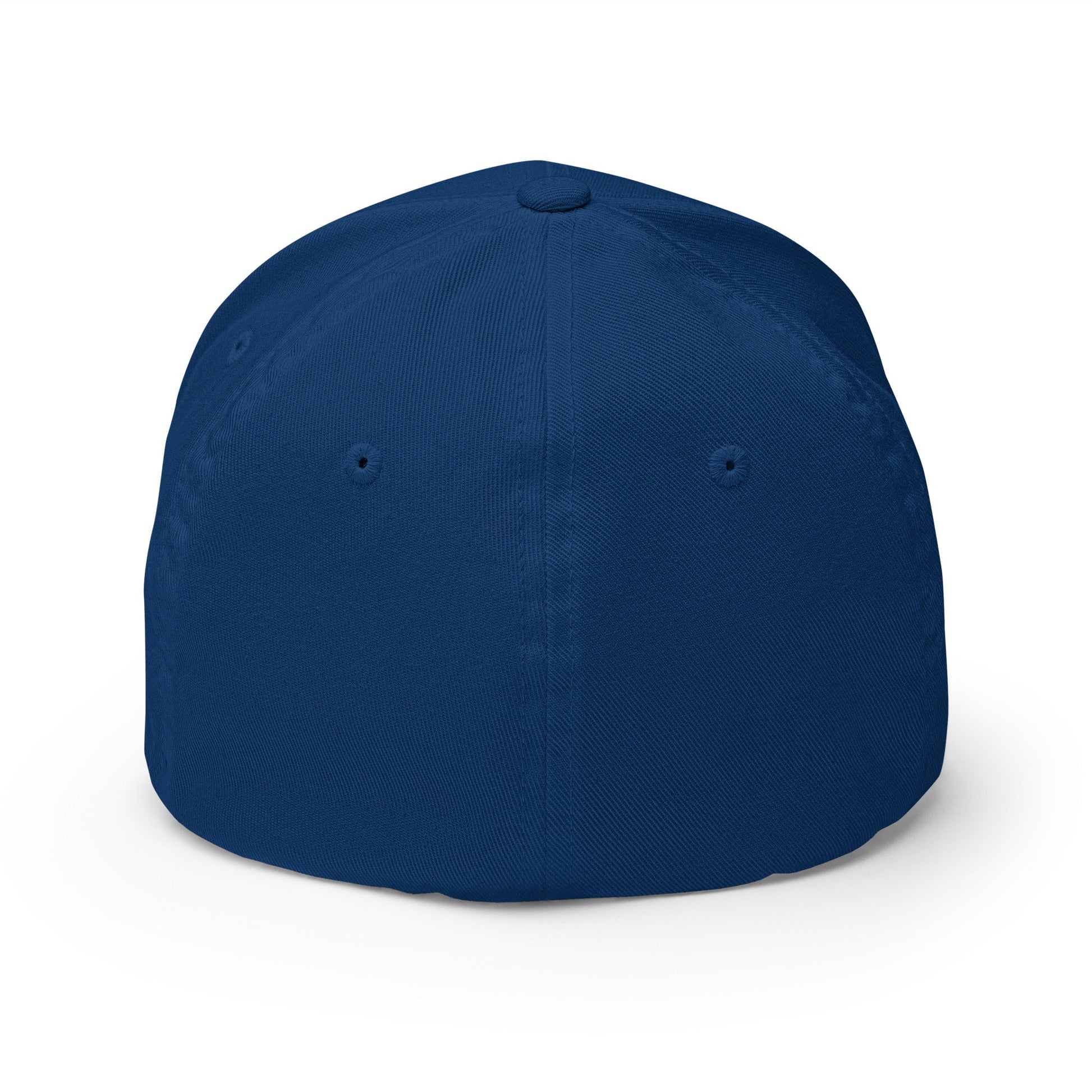 Sobersaurus REX Fitted Cap - Soberlands