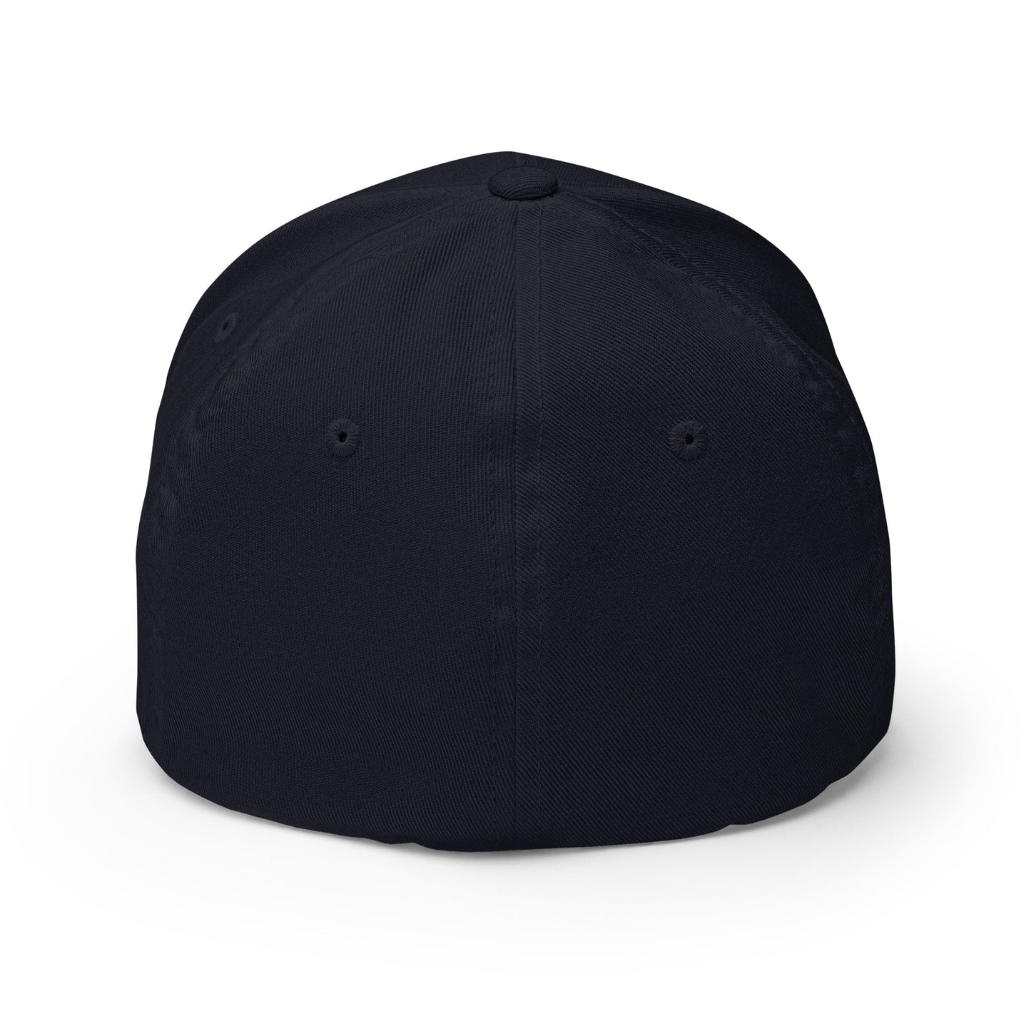 Sobersaurus REX Fitted Cap - Soberlands