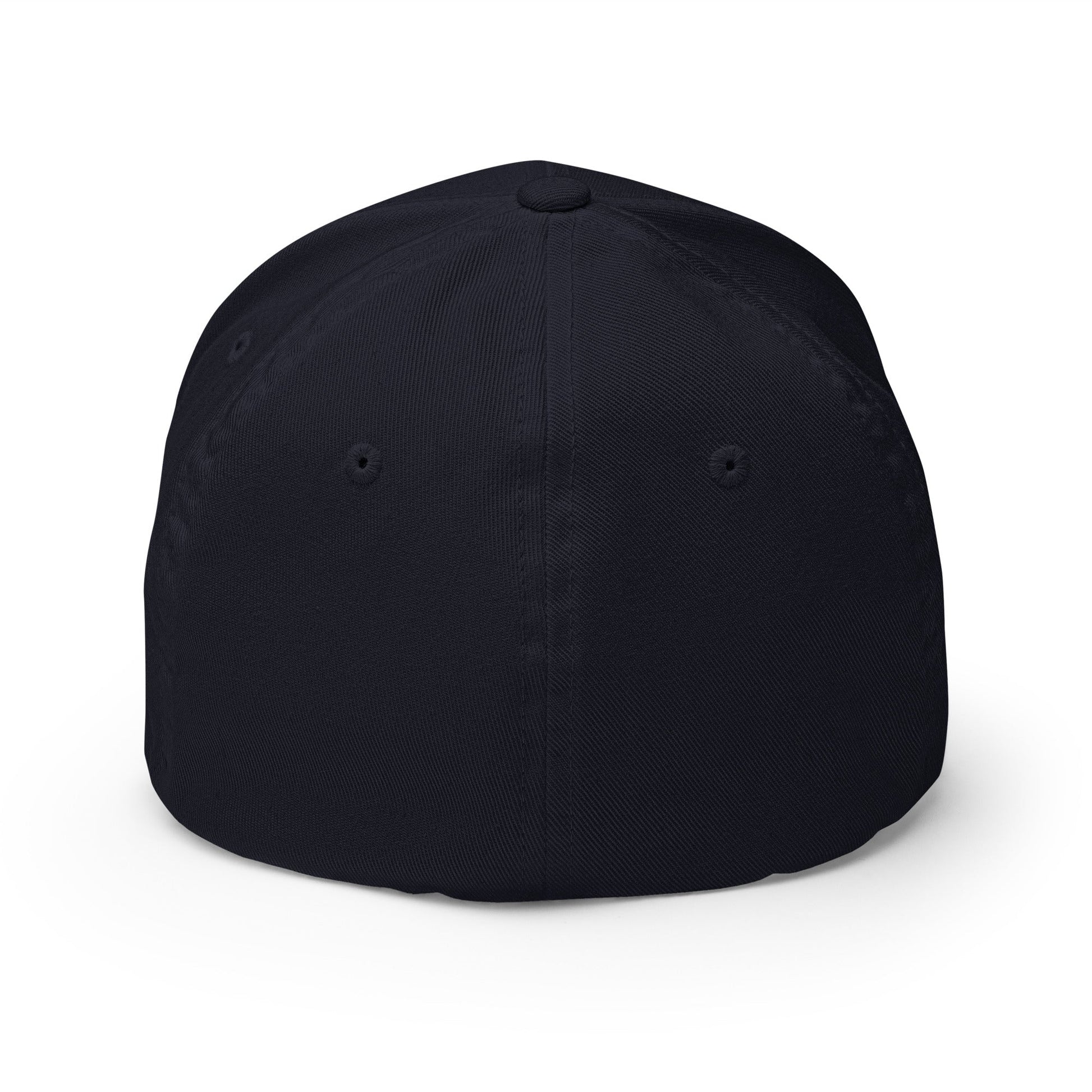 Sobersaurus REX Fitted Cap - Soberlands