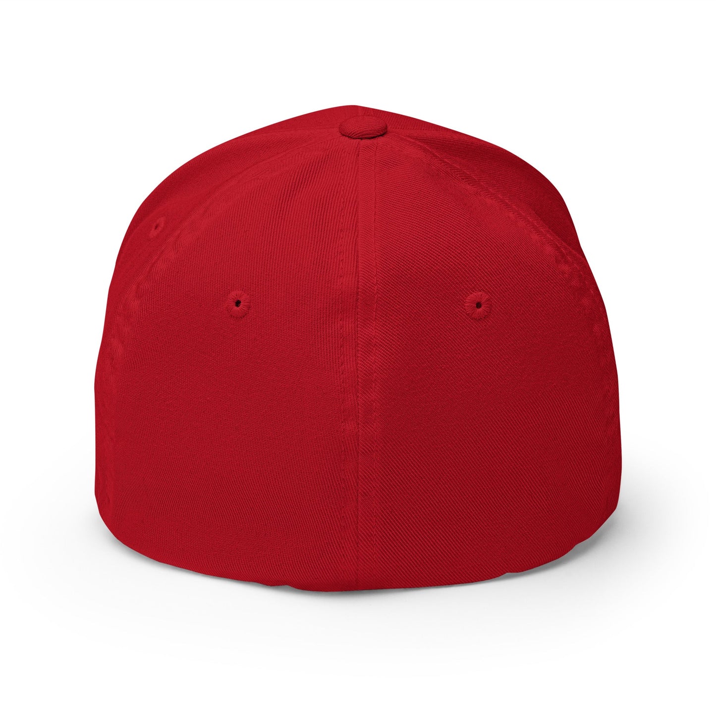 Sobersaurus REX Fitted Cap - Soberlands