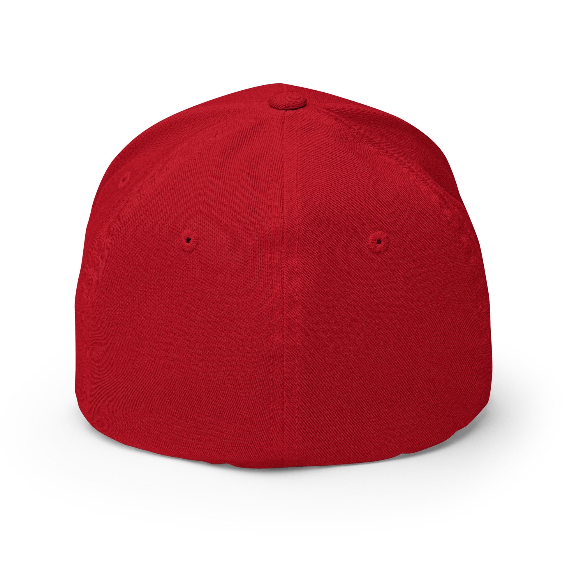 Sobersaurus REX Fitted Cap - Soberlands