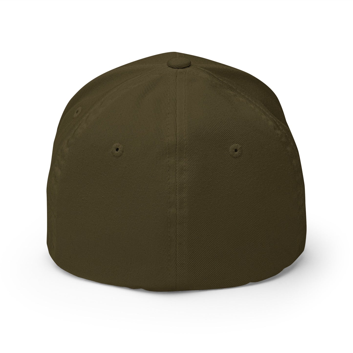 Sobersaurus REX Fitted Cap - Soberlands