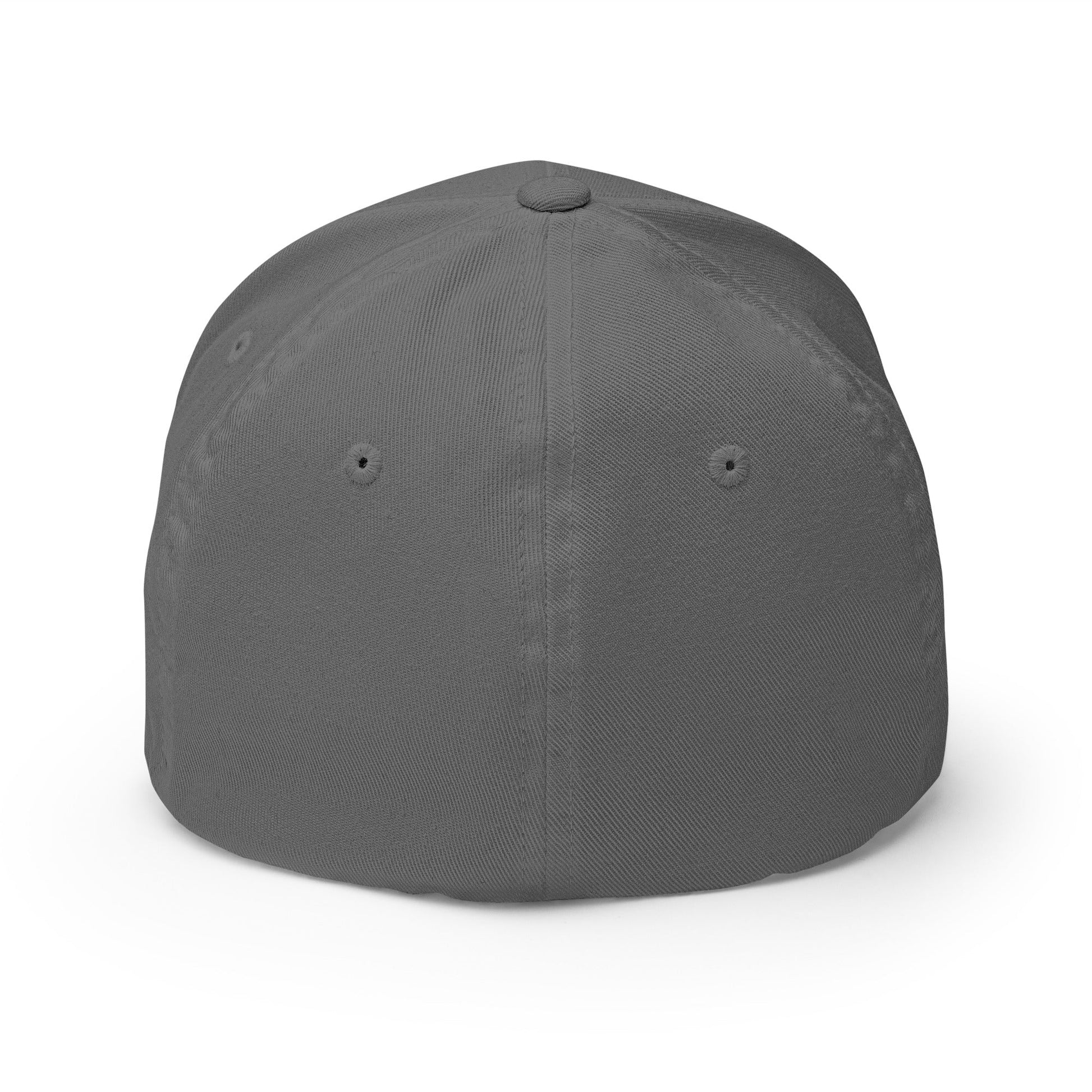 Sobersaurus REX Fitted Cap - Soberlands