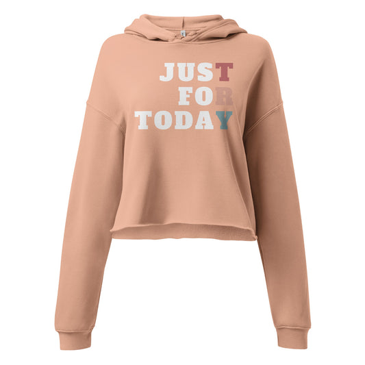 TRY Crop Hoodie - Soberlands