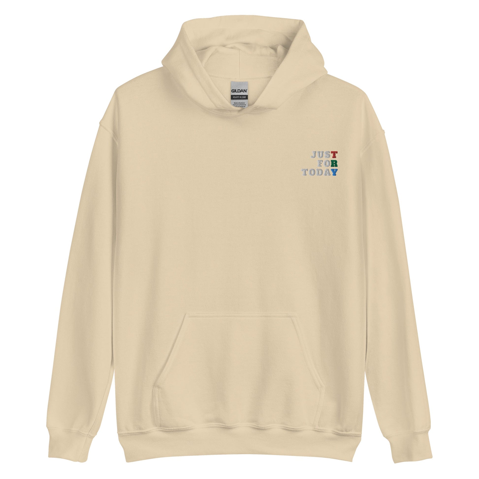 TRY Embroidered Hoodie - Soberlands