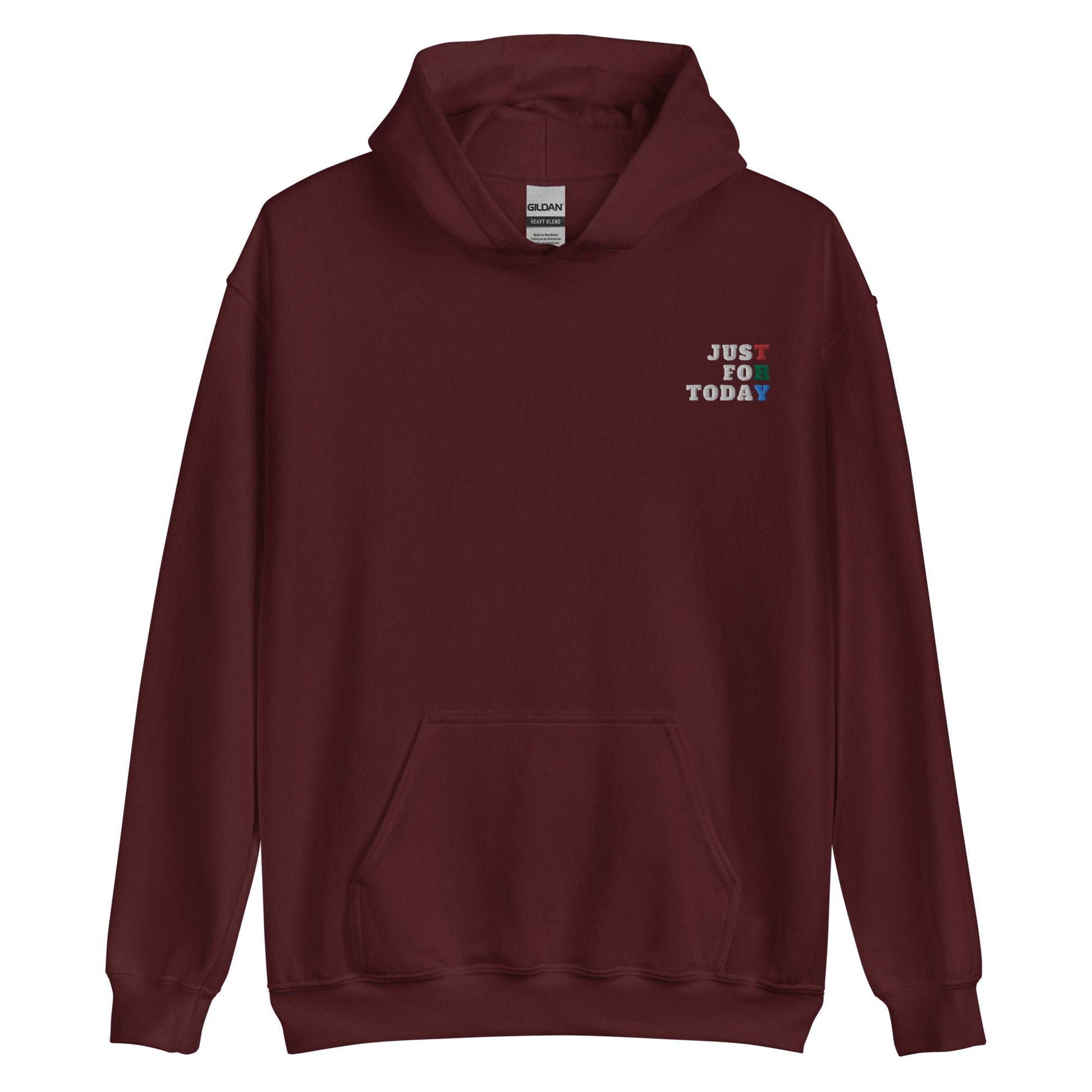 TRY Embroidered Hoodie - Soberlands