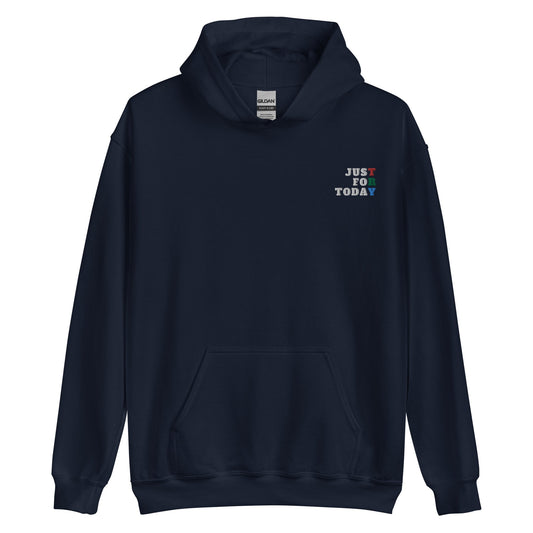 TRY Embroidered Hoodie - Soberlands