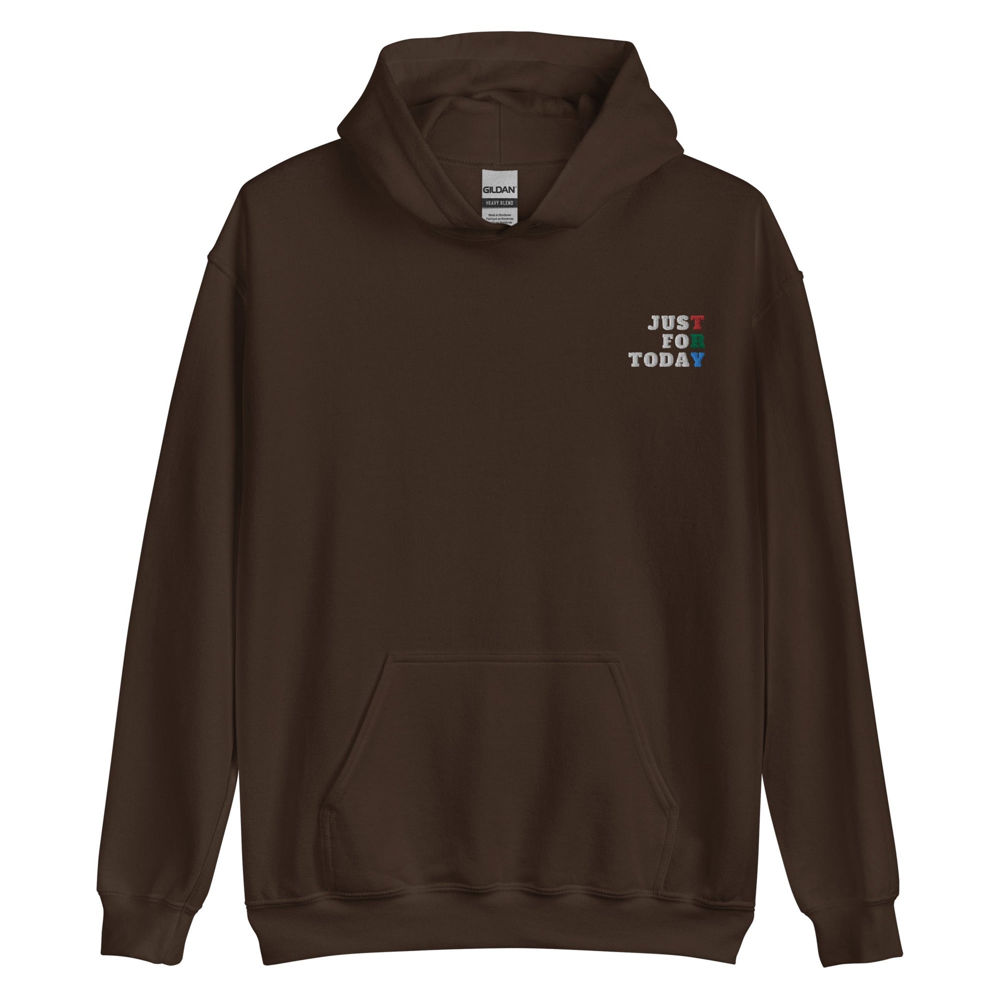 TRY Embroidered Hoodie - Soberlands