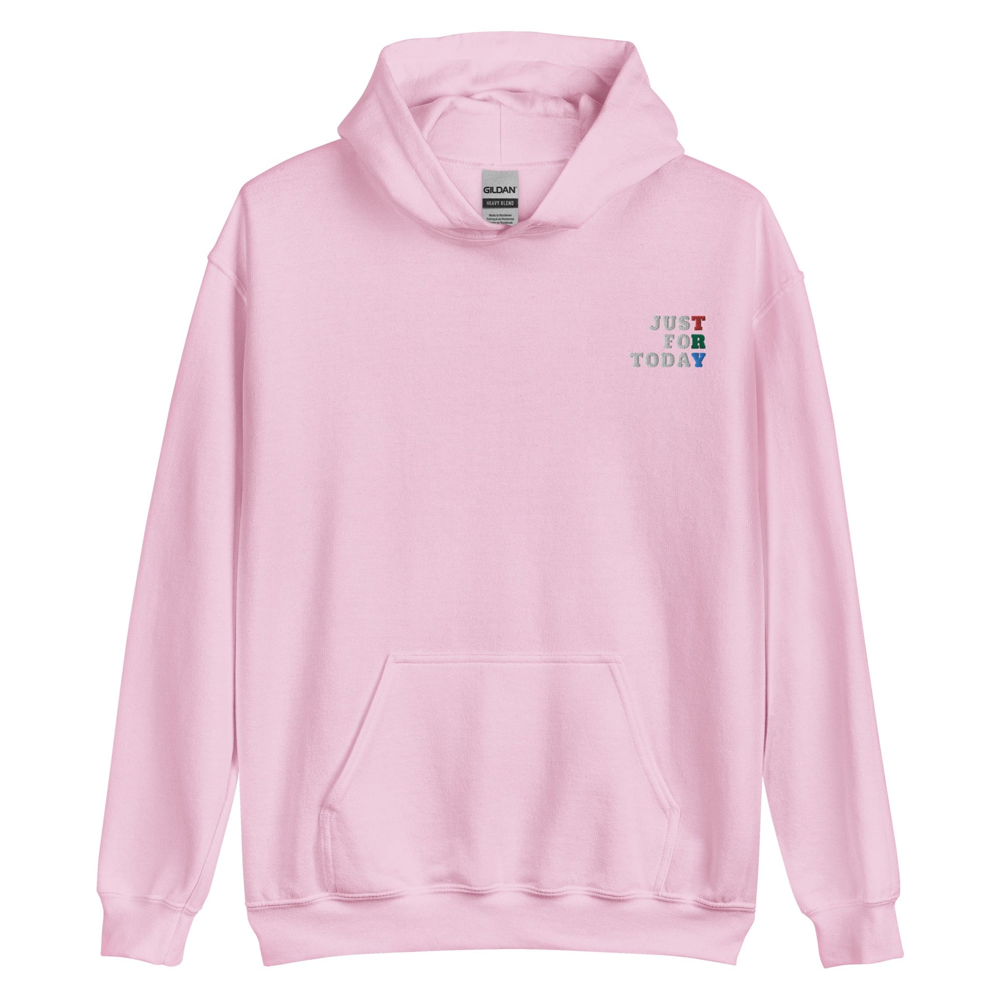 TRY Embroidered Hoodie - Soberlands