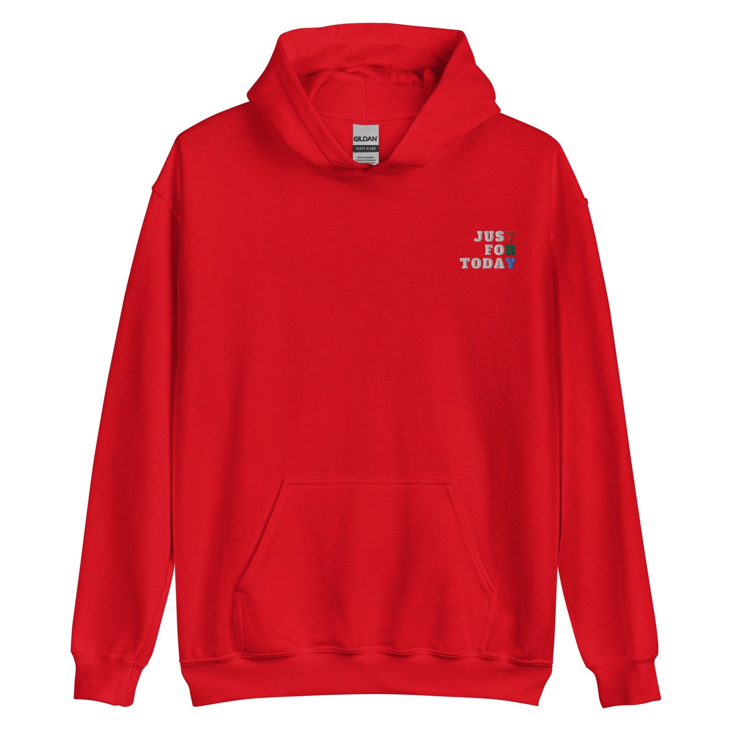 TRY Embroidered Hoodie - Soberlands
