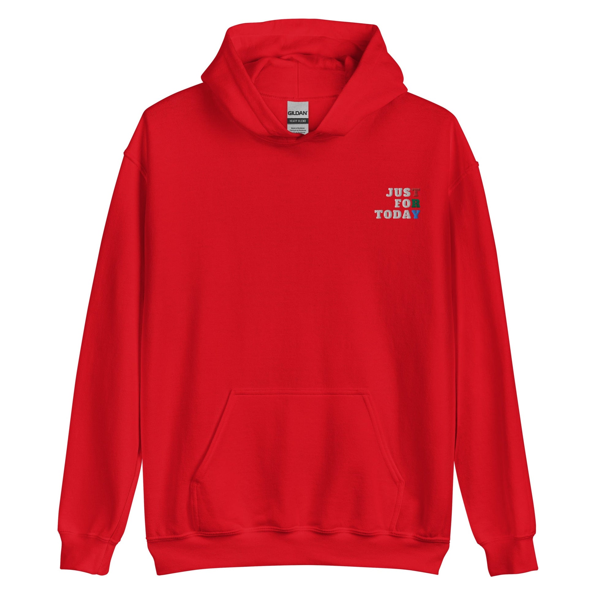 TRY Embroidered Hoodie - Soberlands