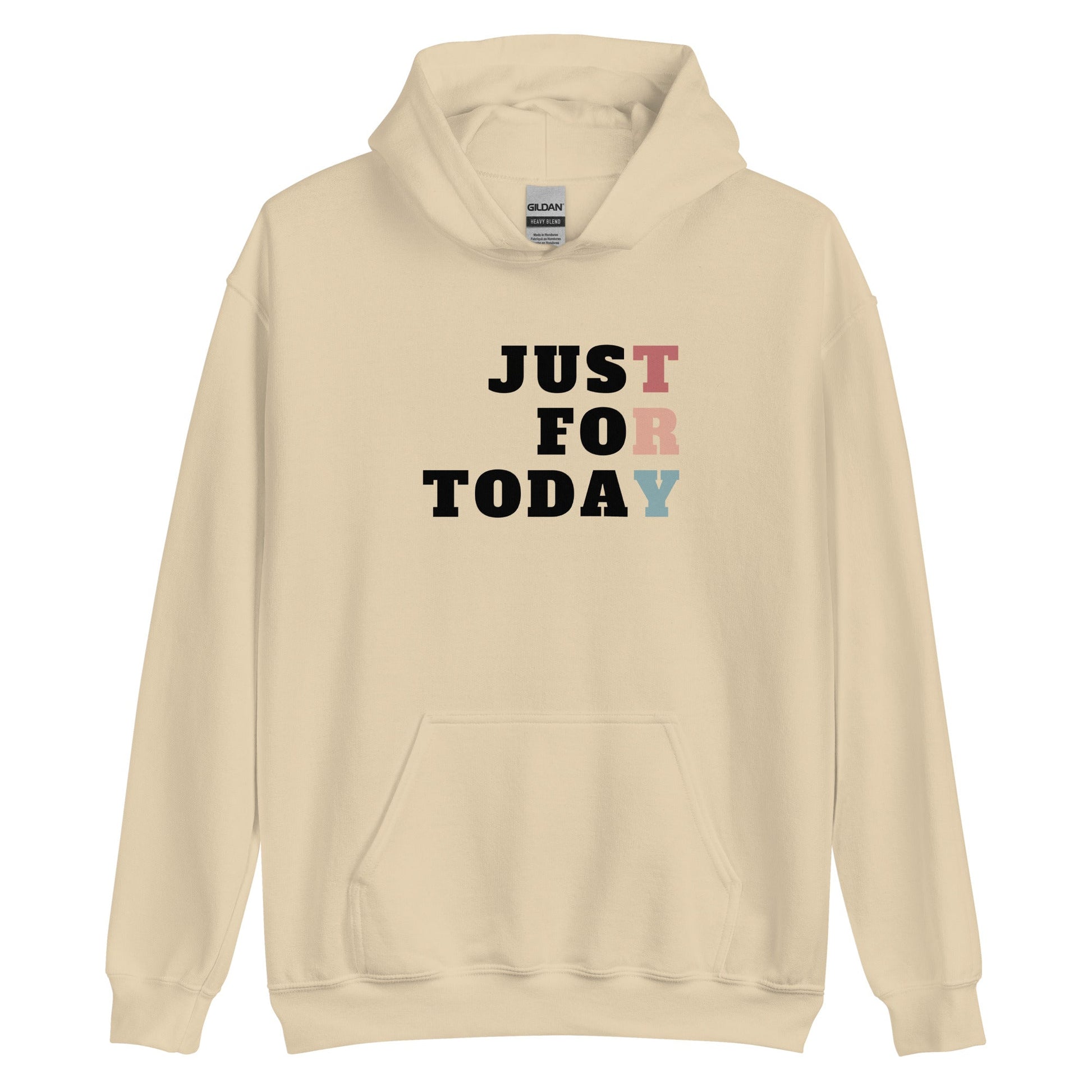 TRY Hoodie - Soberlands