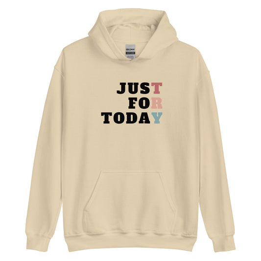 TRY Hoodie - Soberlands