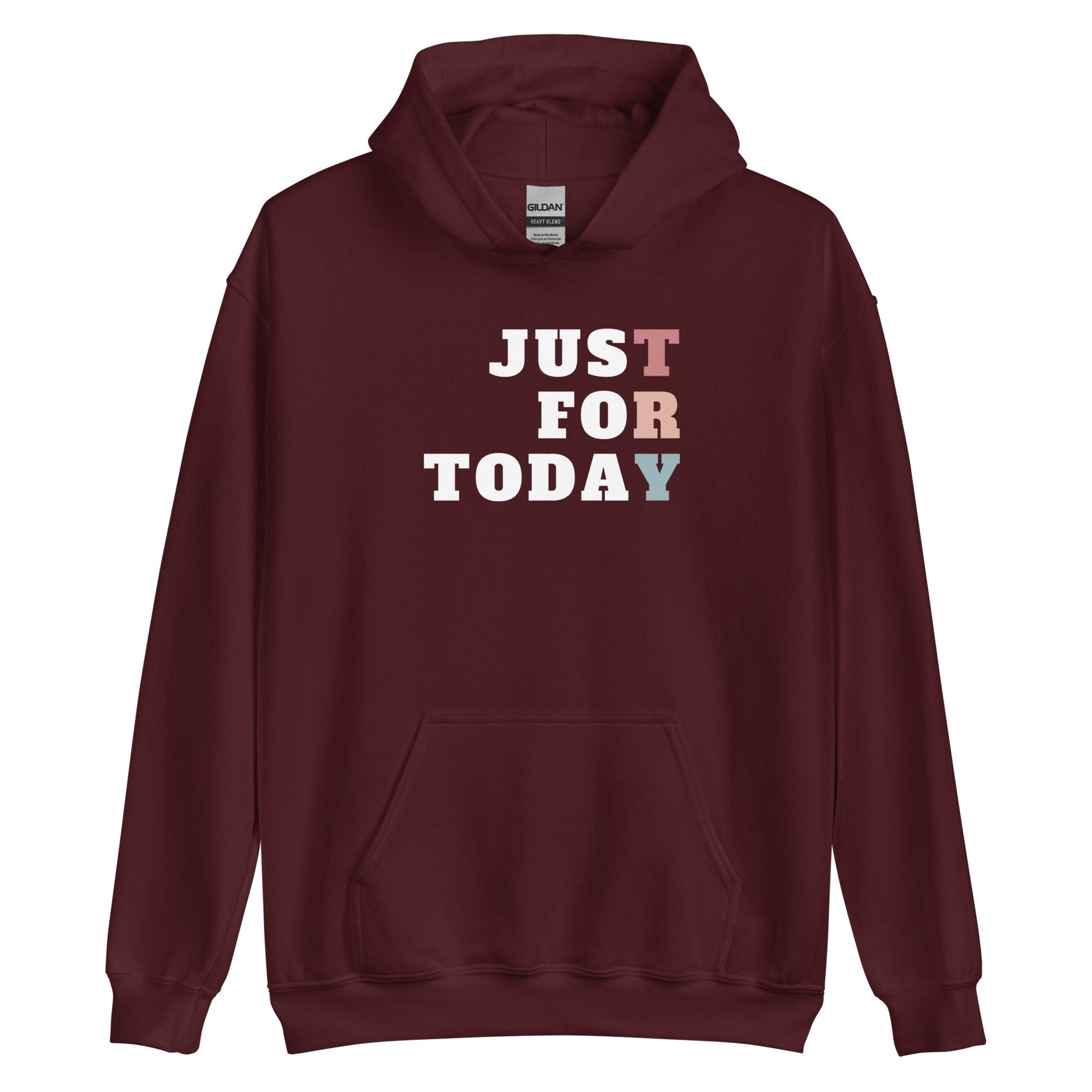 TRY Hoodie - Soberlands