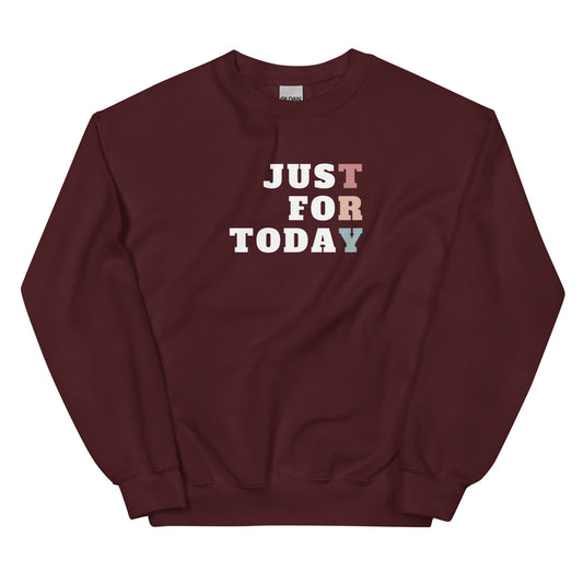 TRY Sweatshirt - Soberlands