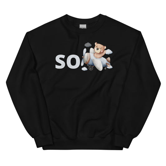 SoBear Plane Sweatshirt