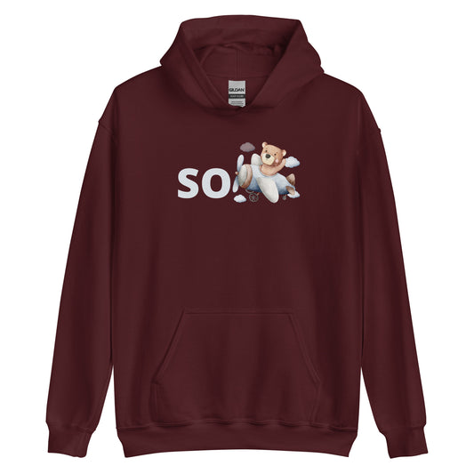 SoBear Plane Hoodie